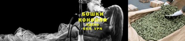 прущие грибы Баксан