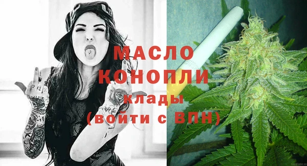 хмурый Аркадак